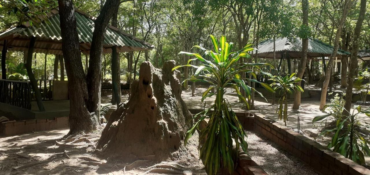 Mathews Holiday Resort Habarana Buitenkant foto