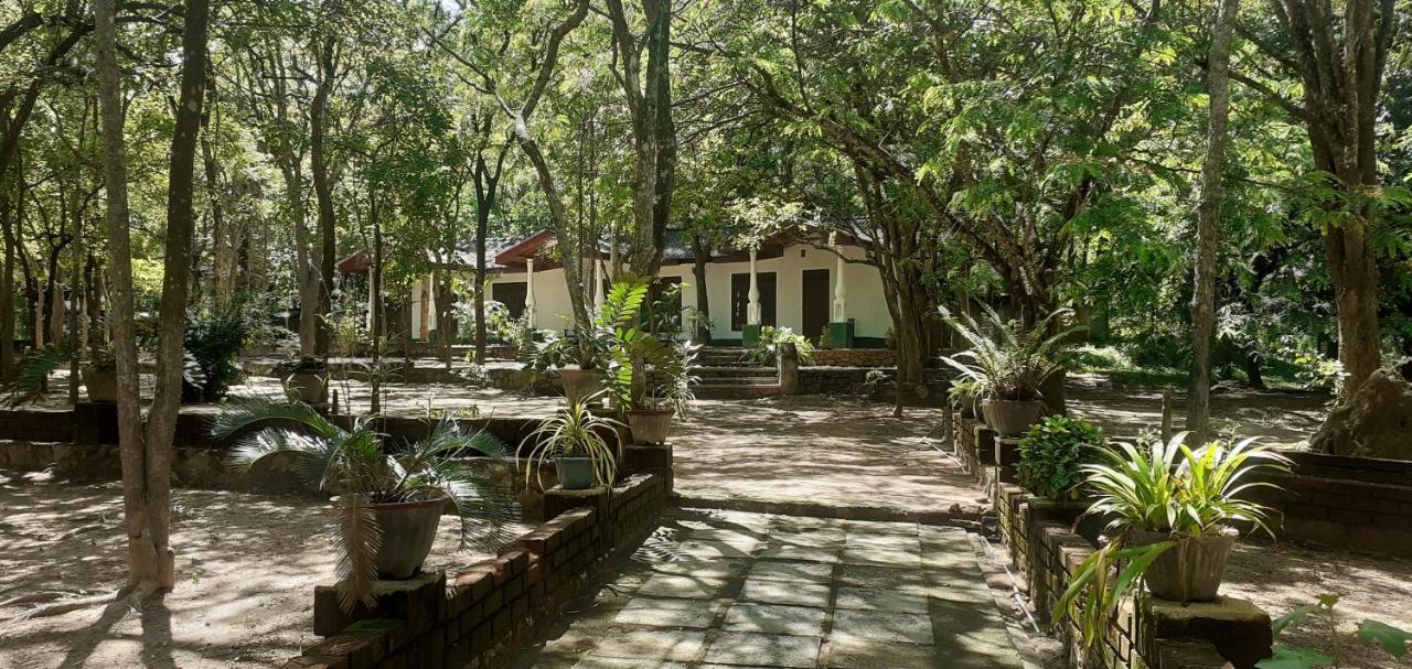 Mathews Holiday Resort Habarana Buitenkant foto
